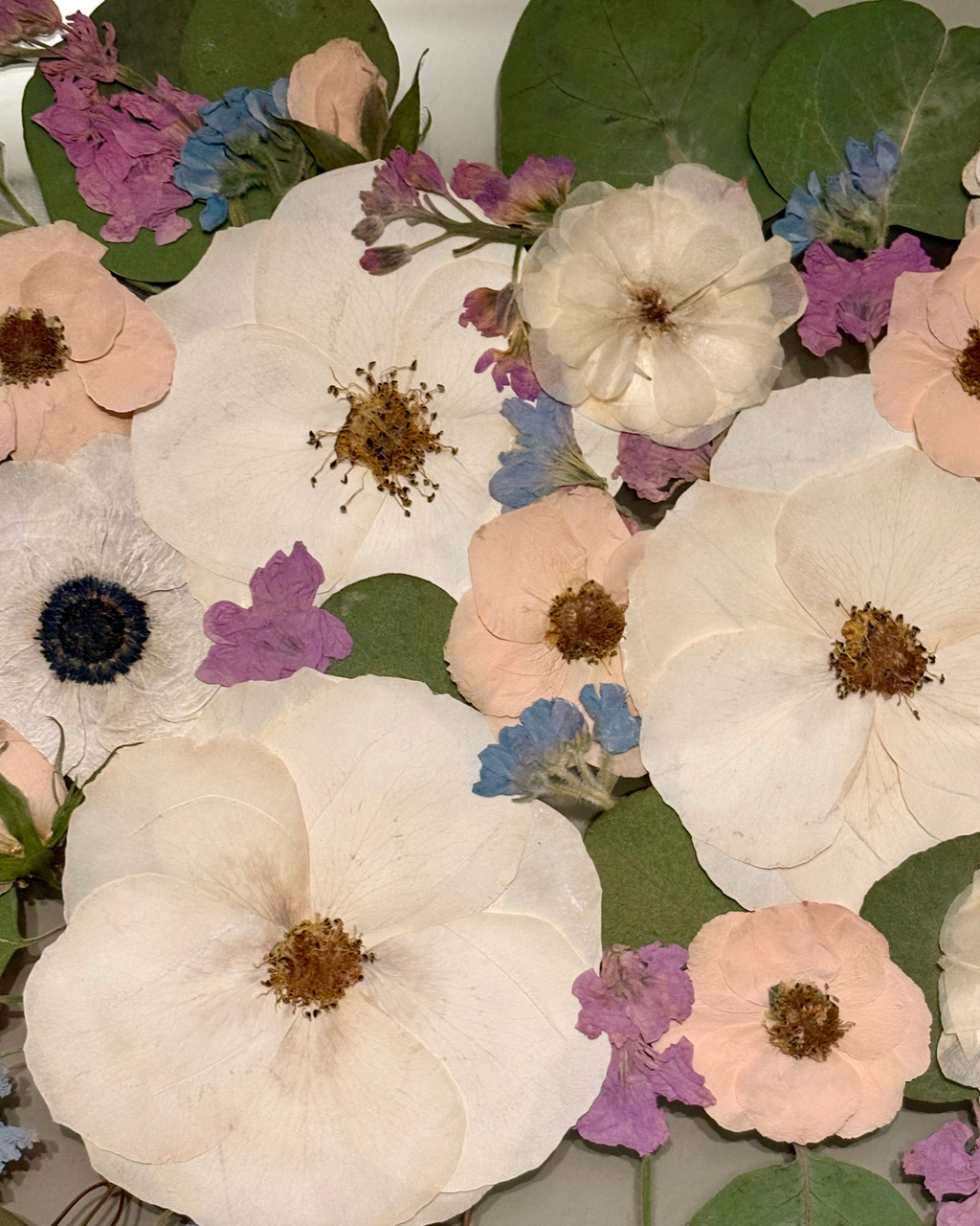 Pressed Floral Frame - 40% off now through June