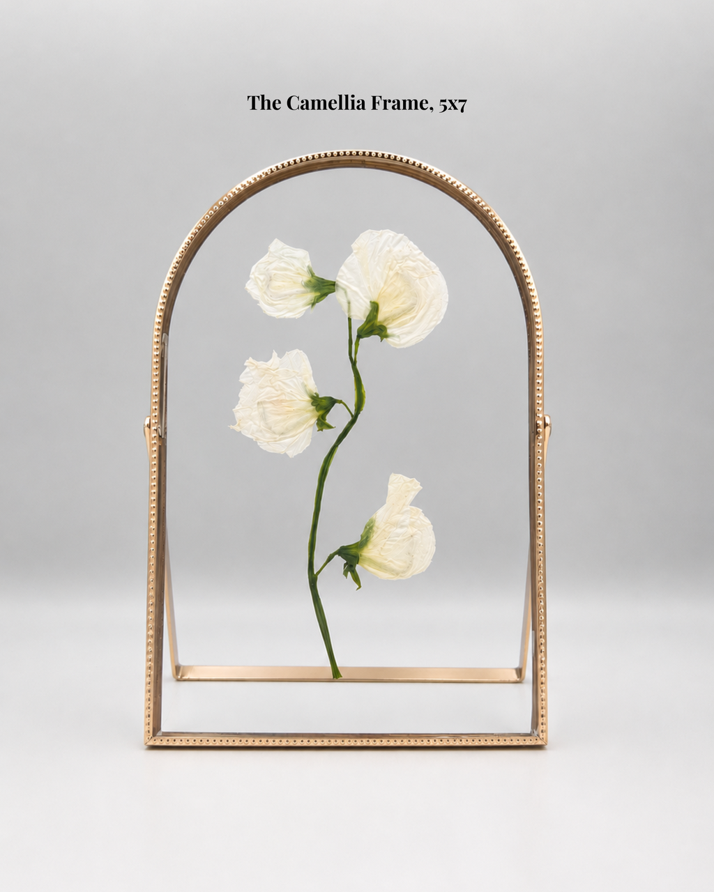 Floral Shadow Box - 40% off now through June