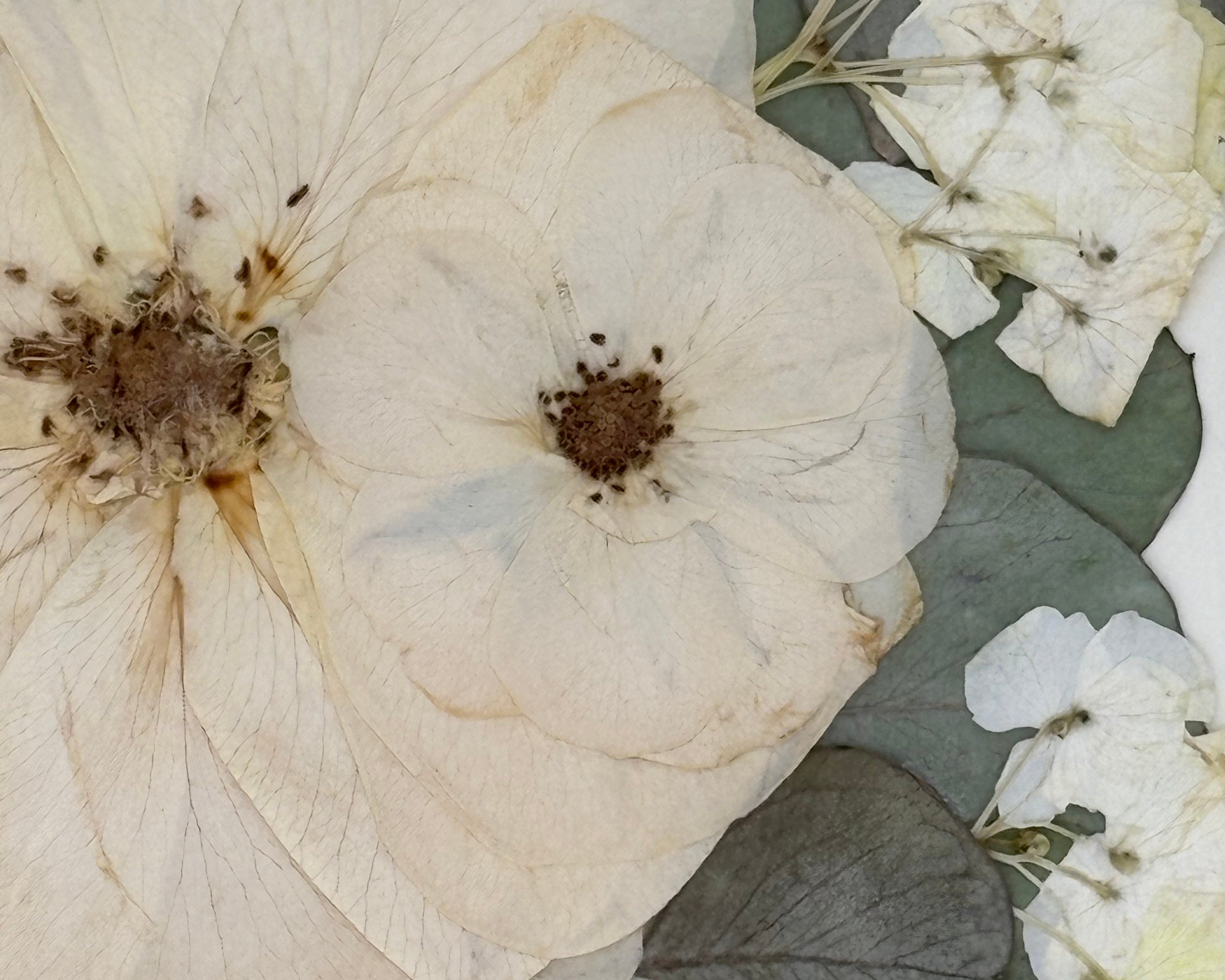 The Fiore Timeless: Preserved Pressed Floral Frame (You supply flowers)