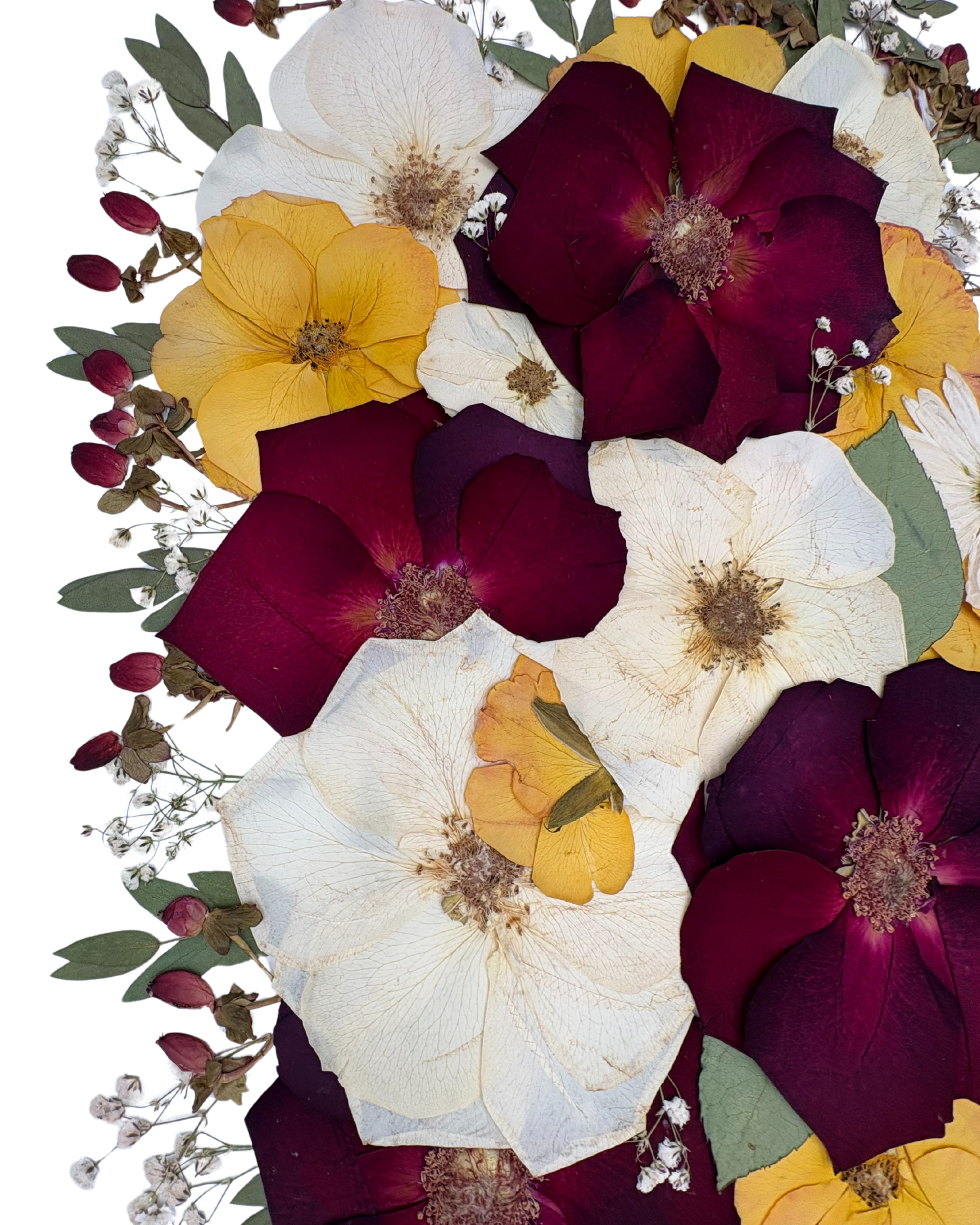 Pressed Floral Frame